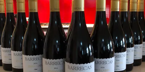 Barrecas Winery
