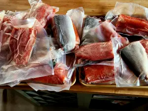 Alaskan Widespread Fishing Adventures