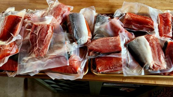 Alaskan Widespread Fishing Adventures