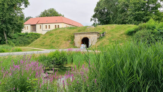 Schloss und Festung Senftenberg