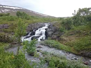 Rid i Jorm