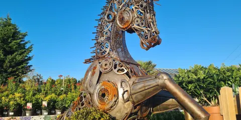 Markham Grange Steam Museum