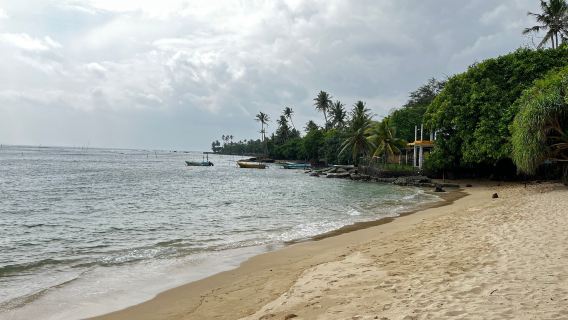 Polhena Beach