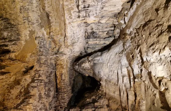 屈爾河畔阿爾西