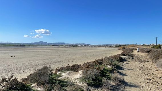 Lago salado de Lárnaca