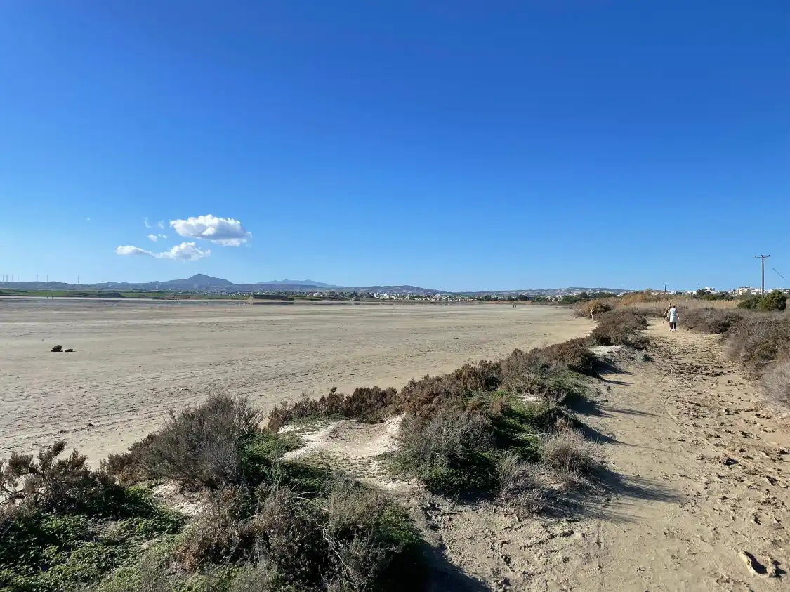 Hotels near Larnaca Salt Lake