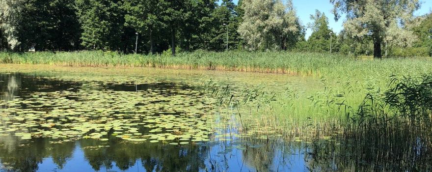 Lake Puhajarv