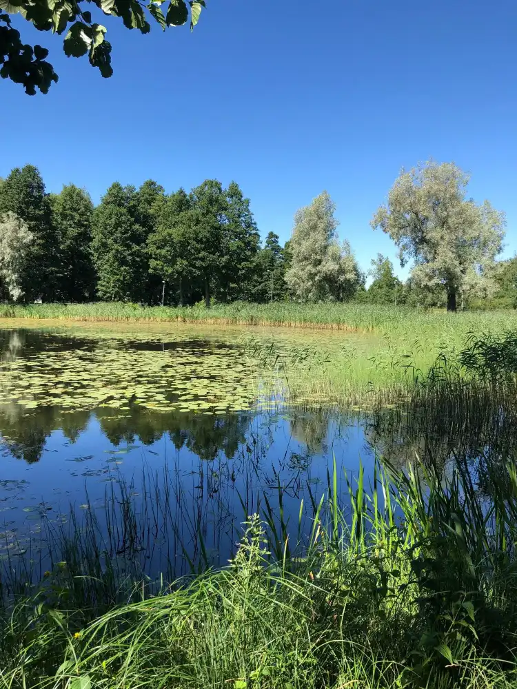 Otepää