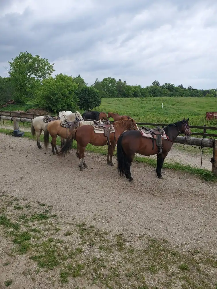 5_Dan Patch Stables