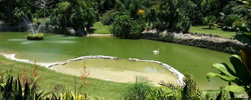 Pinecrest Gardens