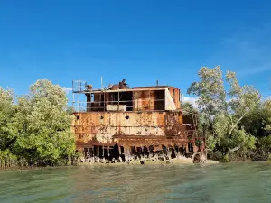 The Ferryman River Cruises