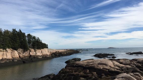 Great Wass Island Preserve