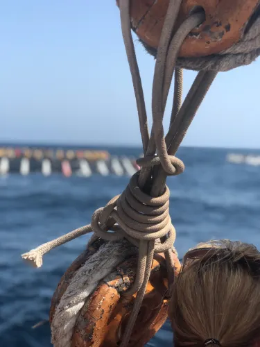 Sayada-Lamta-Bouhjar