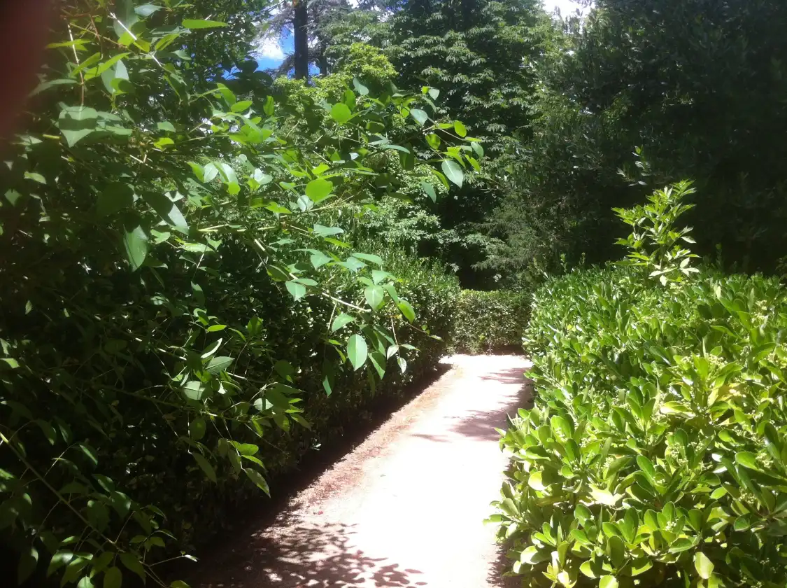 Hotels near Jardin du Las