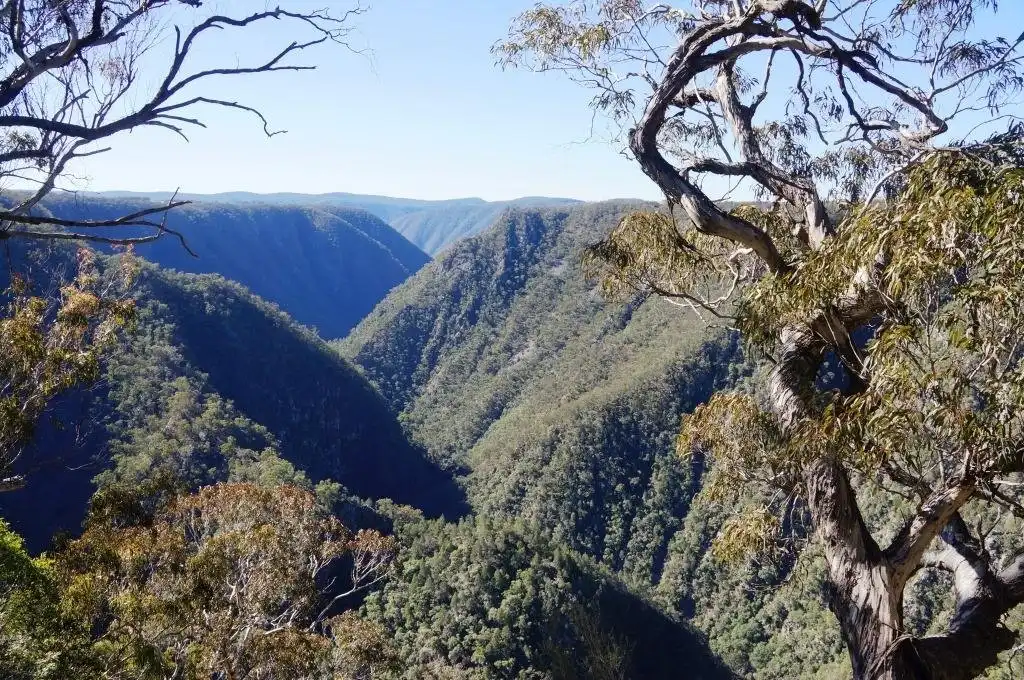 Hotels in der Nähe von Tia Falls