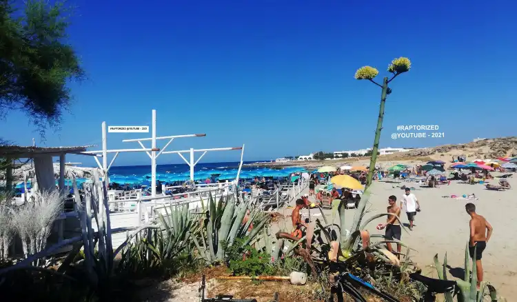 Hotels in Torre Santa Sabina