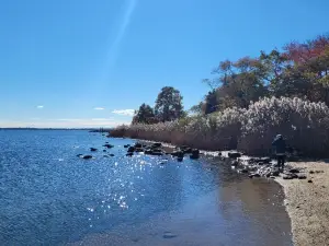 Esker Point Beach