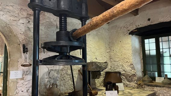 Olive Museum "Fabbrica"