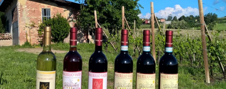 Cantina Maurilio Vaira Tenuta del Barone