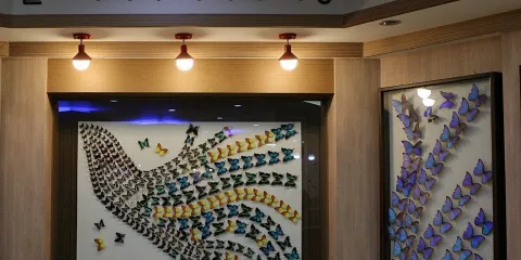 鹹平世博公園 - 蝴蝶昆蟲標本展館