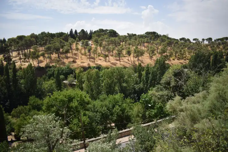 Hotels near Necropolis Judia