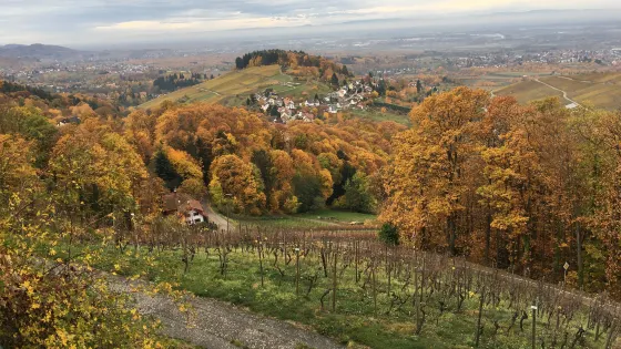 Burgruine Alt-Windeck