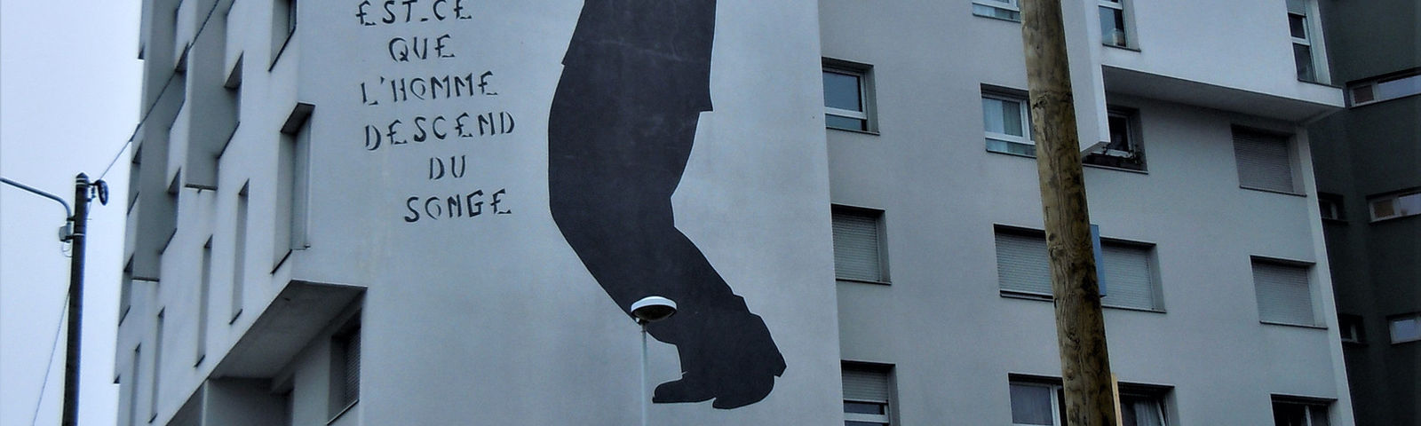 오를리데이 투어