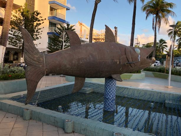 La Barracuda
