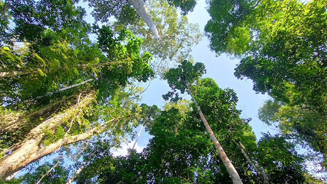 Trail to Elephant Beach