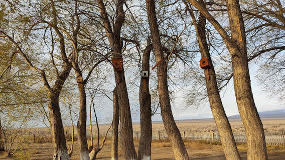 Shygan post and lodge