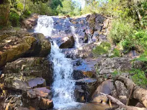 Woodbush Forest Reserve