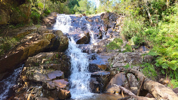 Woodbush Forest Reserve