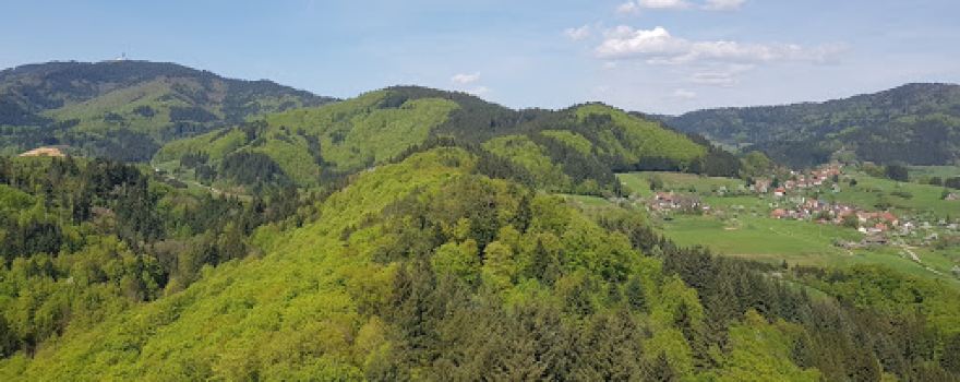 Sausenburg Burgruine