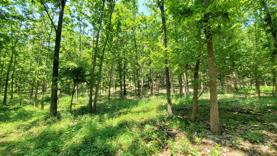 J T Nickel Family Nature And Wildlife Preserve
