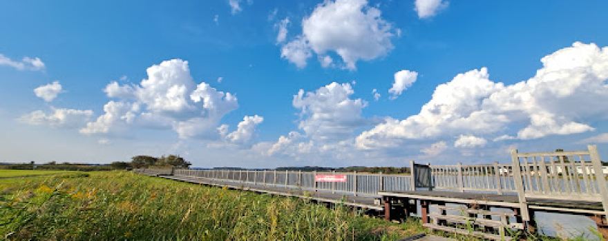Ryugasaki City Ushiku Swamp Waterside Park