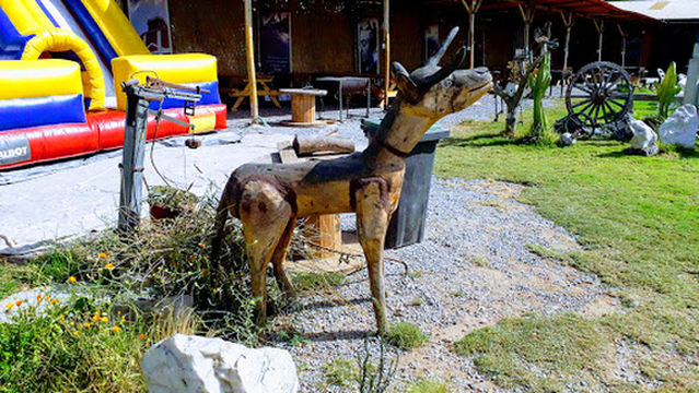 Camping Los Olivos De Altovalsol