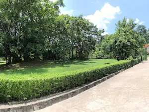 Cây Đa Tân Trào