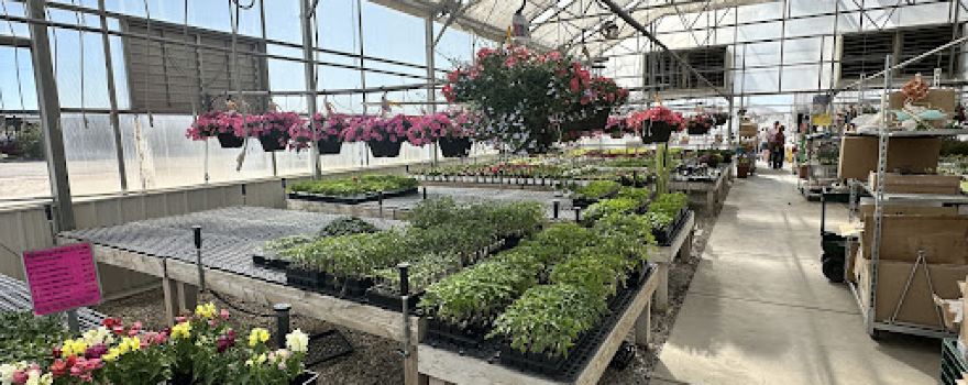 Alpine Gardens
