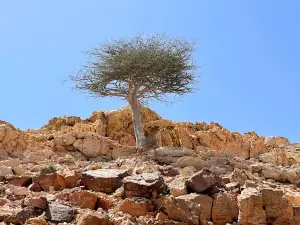 Rocks Park | حديقة الصخور