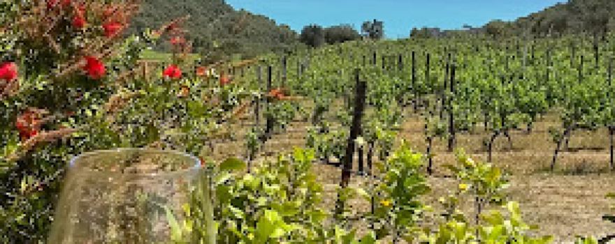 Tenuta del Castello