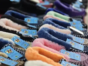 벤디고 쇼우그라운즈