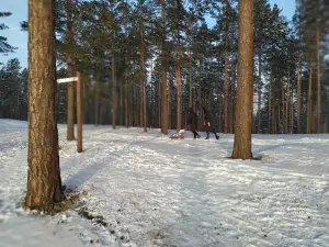Tropa Zdorov'ya