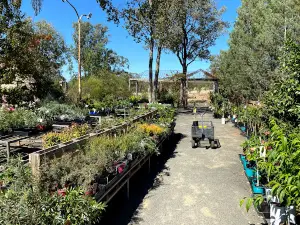 MOORELANDS Bush Nursery