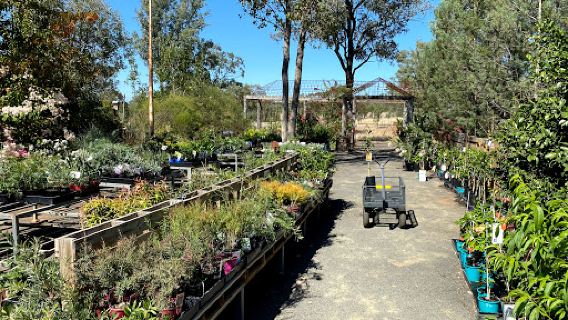 MOORELANDS BUSH NURSERY