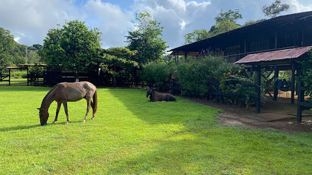 Top Trails Corcovado