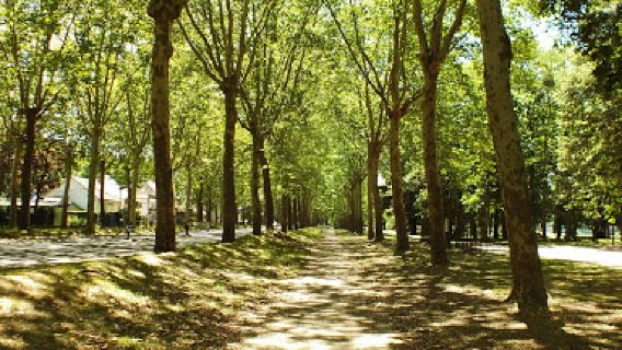 Parc Saint-Crépin