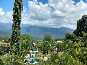 Parque Infantil De San Vicente Centenario