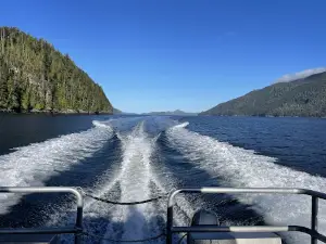 Tide Rip Grizzly Tours