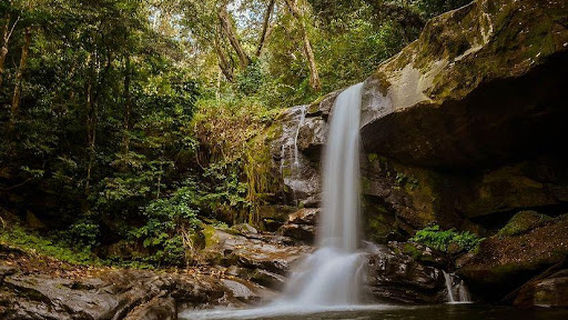 Udzungwa National Park Entrance