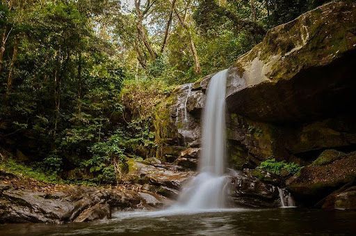 Udzungwa National Park Entrance